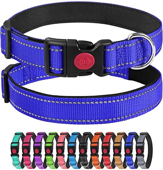 Naaayos na Custom na Nylon Pet Neoprene Padded Dog Collar