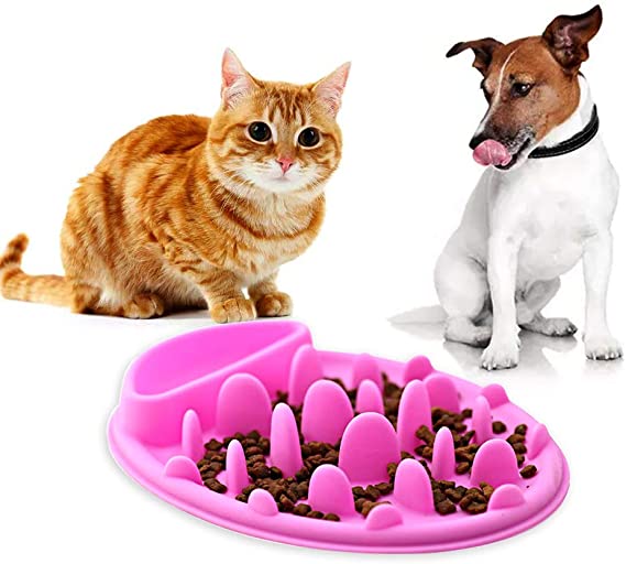 Anti Chocking Silicone Pet Dog Fun Slow Feeder na Cat Bowl