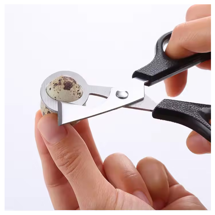 Murang tool sa kusina pigeon quail bird egg clipper cutter gunting