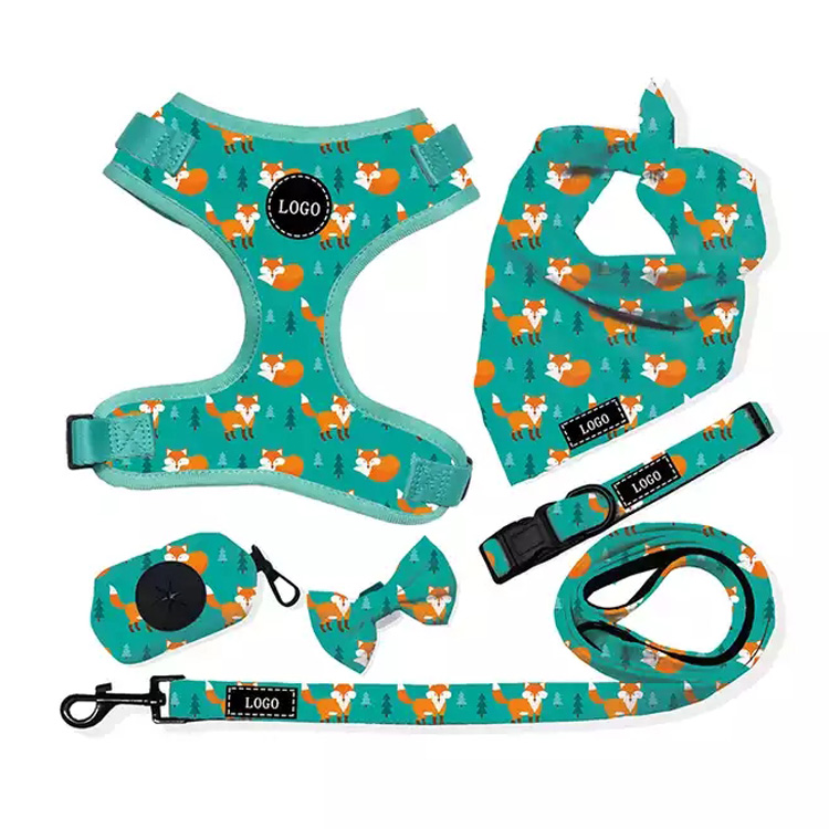 Adjustable Safety No Pull Dog Harness at Leash Set