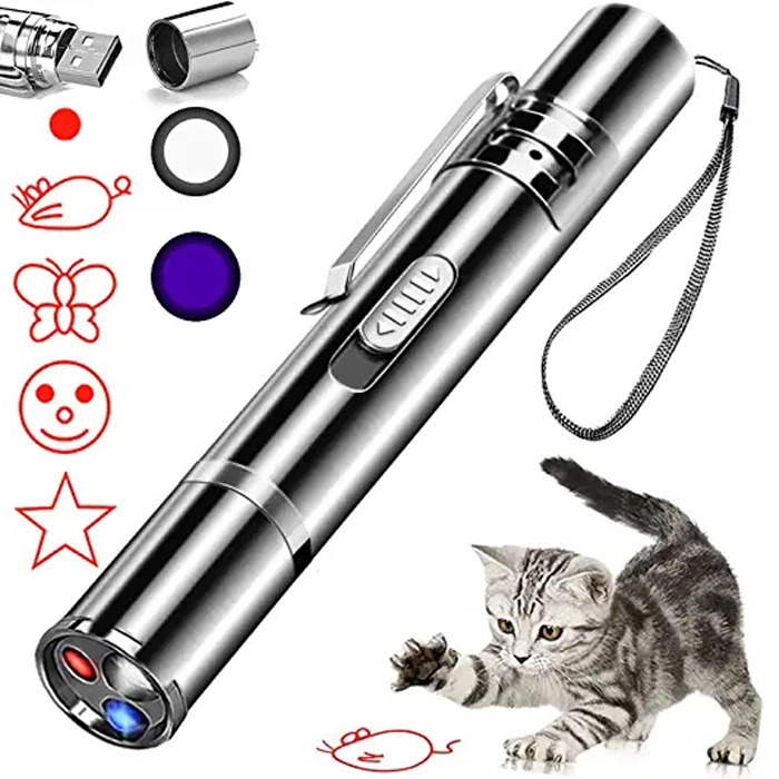 Interactive Playpen Pointer Light Cat Laser Toy