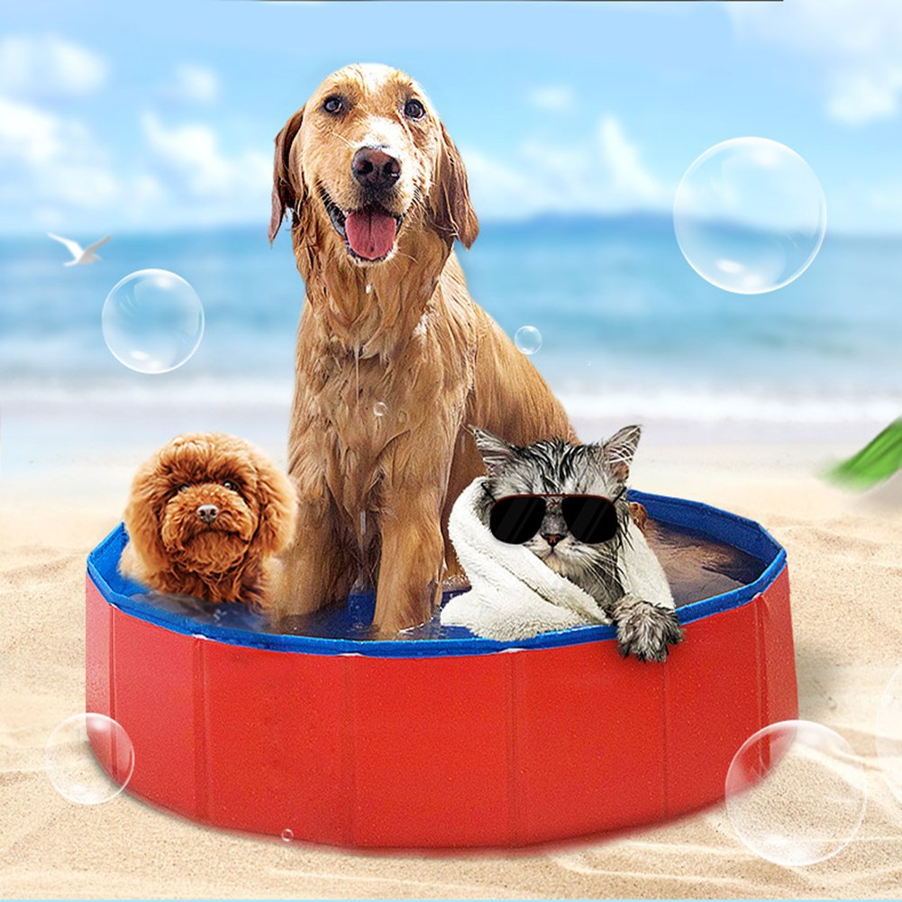 Panlabas na Portable Foldable PVC Pet swimming Tool