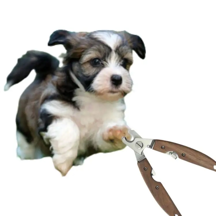 Tool ng Grooming ng Pet Nail: Patnubay sa Pagpili ng Pinakamahusay na Pet Nail Clipper