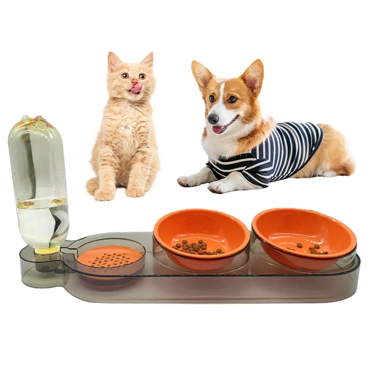 Propesyonal na disenyo ng cat dog food feed bowl alagang hayop feeder