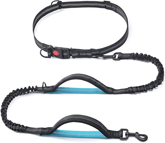 Sumasalamin sa Dual Padded Bungee Running Hands Libreng Dog Leash