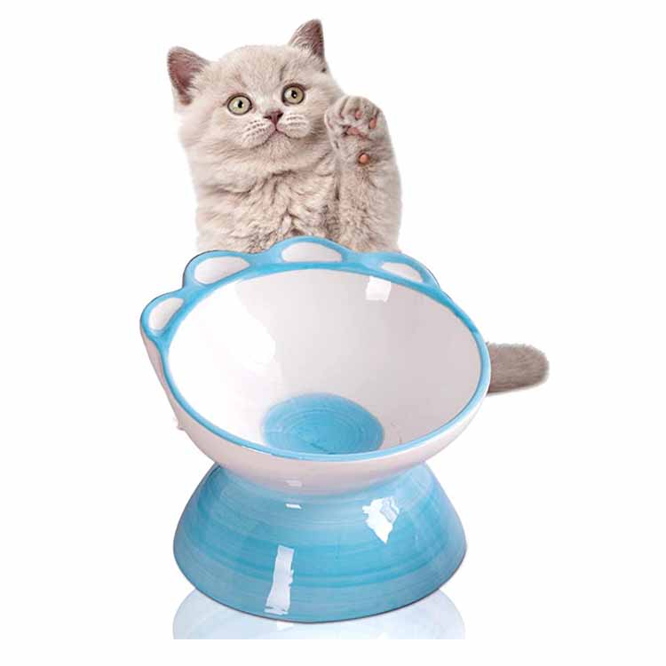 Slant Dog Feeder Itinaas ang Ceramic Cat Food Bowl